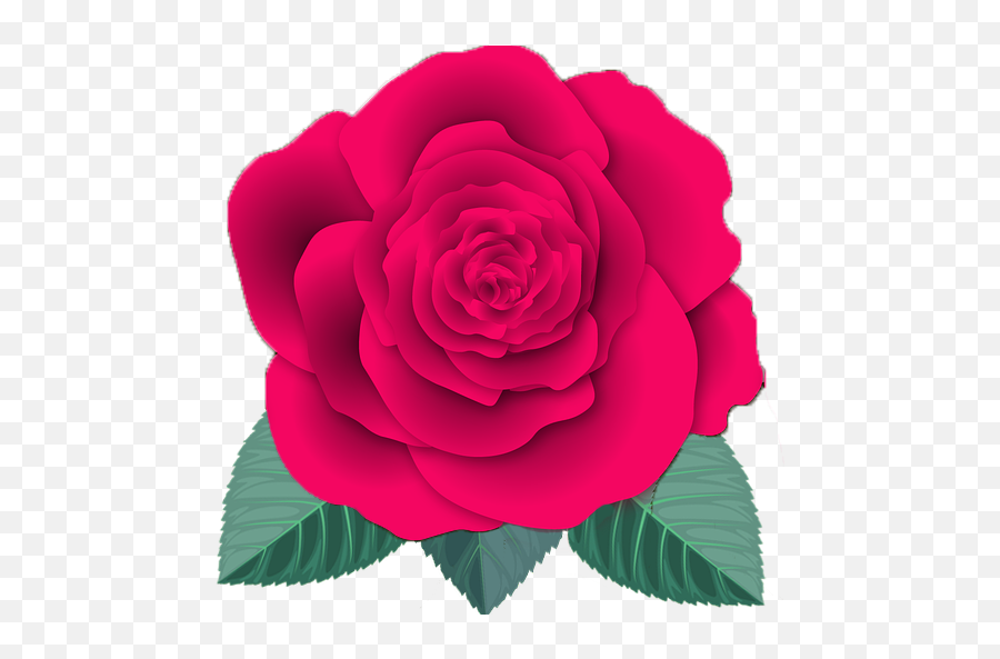 Meaningful Roses - Hybrid Tea Rose Emoji,What Is The Emotion For Yellow Roses