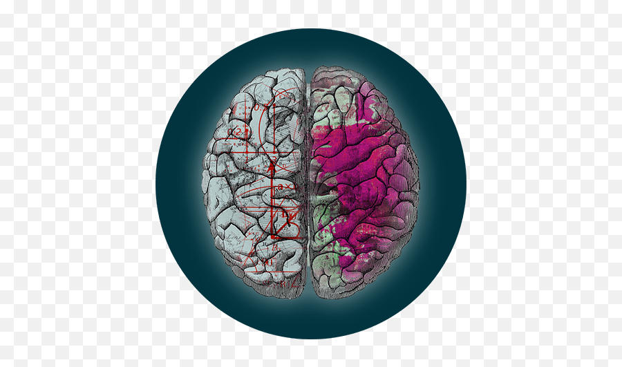 Modalities 1a Wellness - For Adult Emoji,Emotion Focused Therapy Diagram