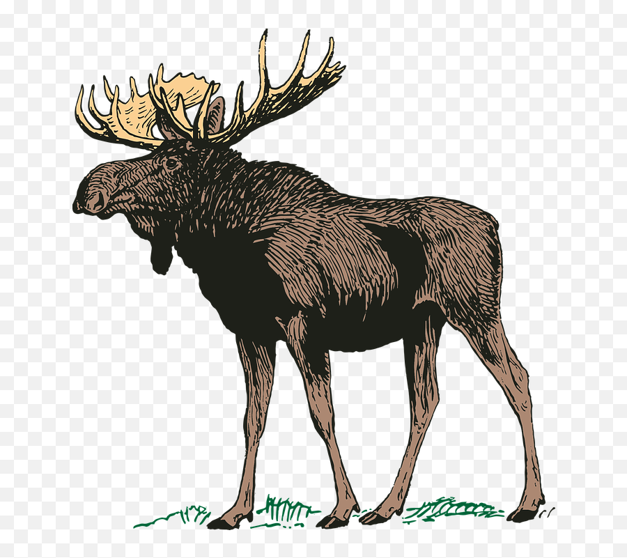 Moose Graphics - Moose Black And White Emoji,Moose Emoji