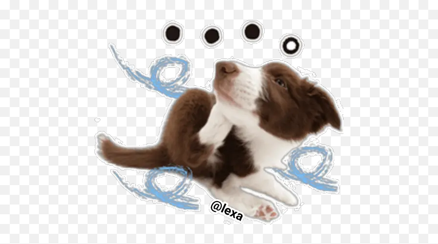 Sticker Maker - The Dog Herding Dog Emoji,Dog Paw Emoticons