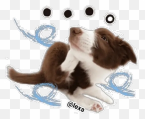 Sticker Maker - The Dog Herding Dog Emoji,Dog Paw Emoticons