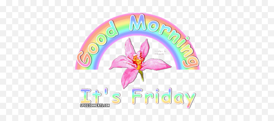Friday Comments For Facebook Twitter And Myspace - Good Morning Friday Graphics Emoji,Friday Emoticons