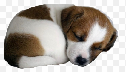 The Most Edited Dogs Picsart - Makes A Good Class Pet Emoji,Emoji Badges Imvu