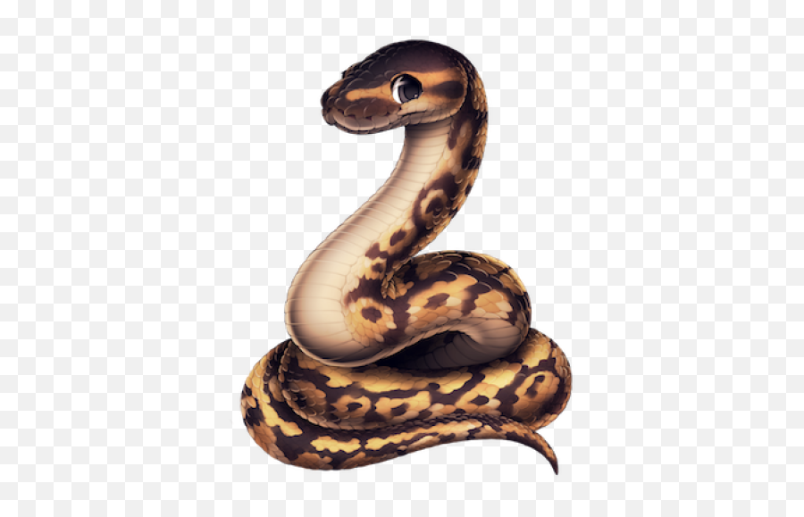 Ball Png And Vectors For Free Download - Ball Python Snake Png Emoji,Emoji Ball Python