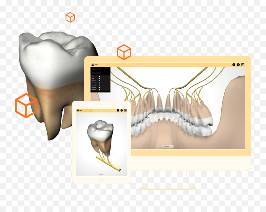 Masaryk University U2013 Medical 3d Viewer Bretislav Mazoch - Language Emoji,3d Animated Emotions