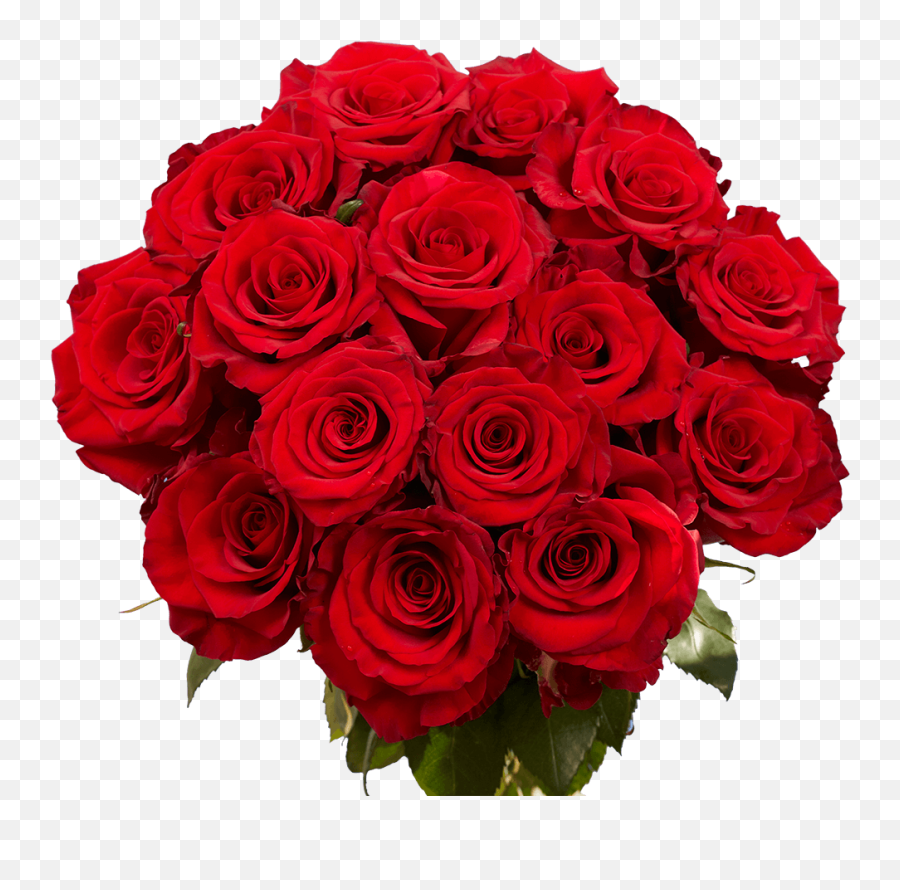 Red Paris Dark Red Roses - Red Colour Rose Flowers Emoji,Deep Emotions Roses