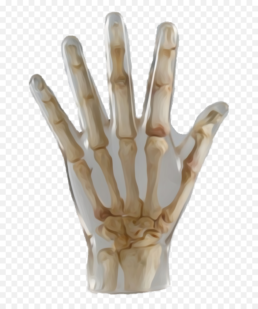 Hand Skeleton Bones Sticker - Solid Emoji,Thumbs Up Skelliton Emoji