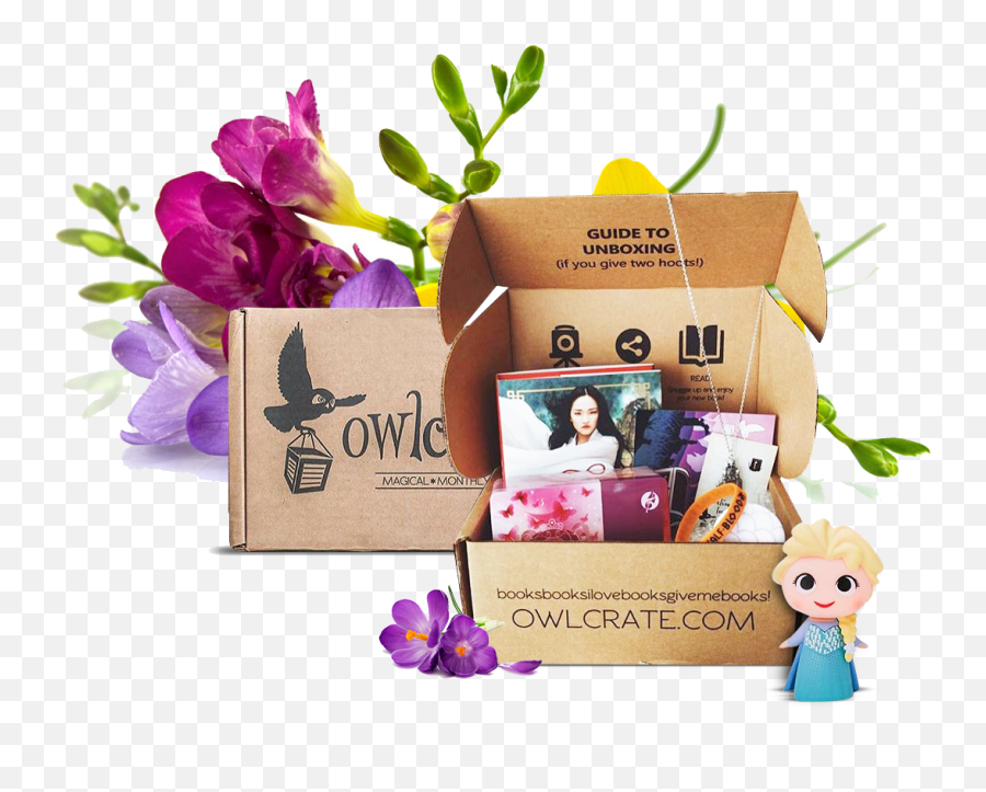 27 Subscription Boxes That Take The Stress Out Of Gift - Giving Owlcrate Emoji,6:11 The Emoji Movie