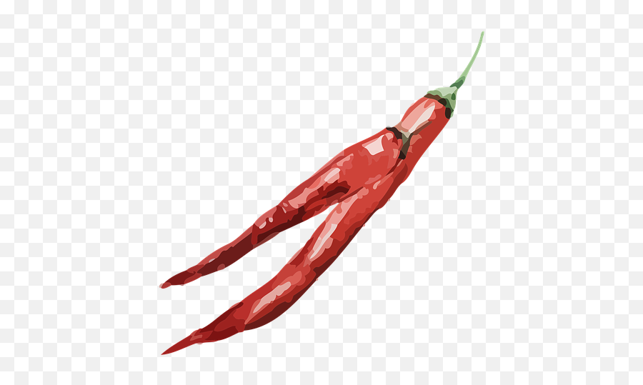 Free Photo Chili Pepper Spice Hot Pepper Watercolor Chili - Chili Pepper Emoji,Pepper Computer Emotion Con