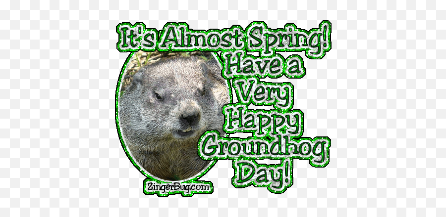 Top Marmota Stickers For Android Ios - Happy Groundhog Day Gif Emoji,Groundhog Day Text Emoticons