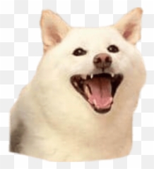 Shiba Emoji,Shiba Inu Emoji Png