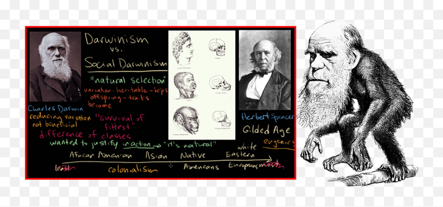 A Road Is Made - Charles Darwin Ape Poster Emoji,Darwin's Theory Of Emotion