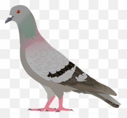 Download Pigeon Png Image Hq Png Image - Pigeon Icon Transparent Background Emoji,Quail Emoji