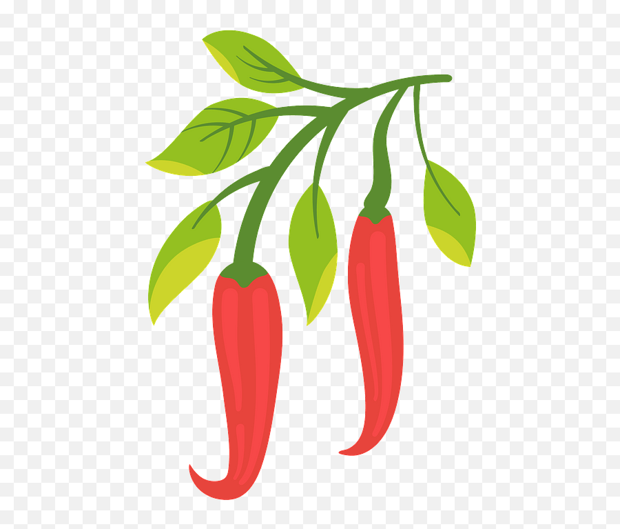 Free Chili Cliparts Download Free Clip Art Free Clip Art - Clipart Chilli Emoji,Chilli Pepper Emoji