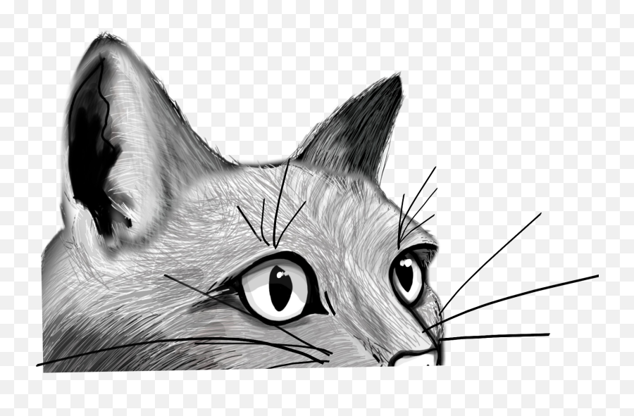 Cat Peeking Feline Face Kitty Sticker By - Domestic Cat Emoji,Kitty Face Emoji