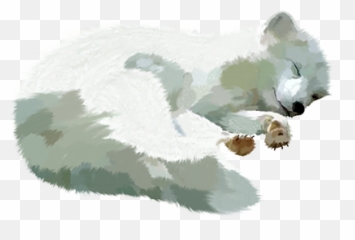 Emote For Twitch Projects Photos Videos Logos - Soft Emoji,Sleepy Bear Emoticons Png