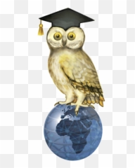 From Country Stereotypes To Country Emotions To Intentions To - For Graduation Emoji,Printables Targeting Emotions