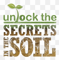 Soil Food Web Nrcs Soils - Unlock The Secret Of Soil Emoji,Emotion Comination Chart