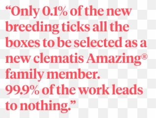 Clematis - Dot Emoji,Emotion Stamen