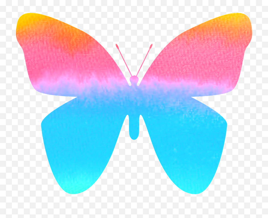Butterfly Color Colorful - Free Image On Pixabay Emoji,Color Blue Emoji