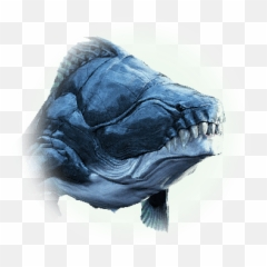 Black Rust - Bdo Codex Black Rust Bdo Emoji,Bdo Ranger Emoticons