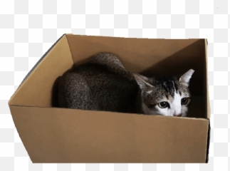 Pikipack - Cardboard Box Emoji,Cardboard Emojis