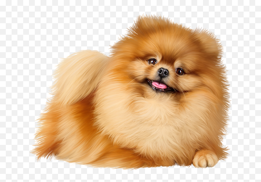 Yorkie Poo Coloring Pages - Free Printable Coloring Books Dog Emoji,Yorkie Emoji