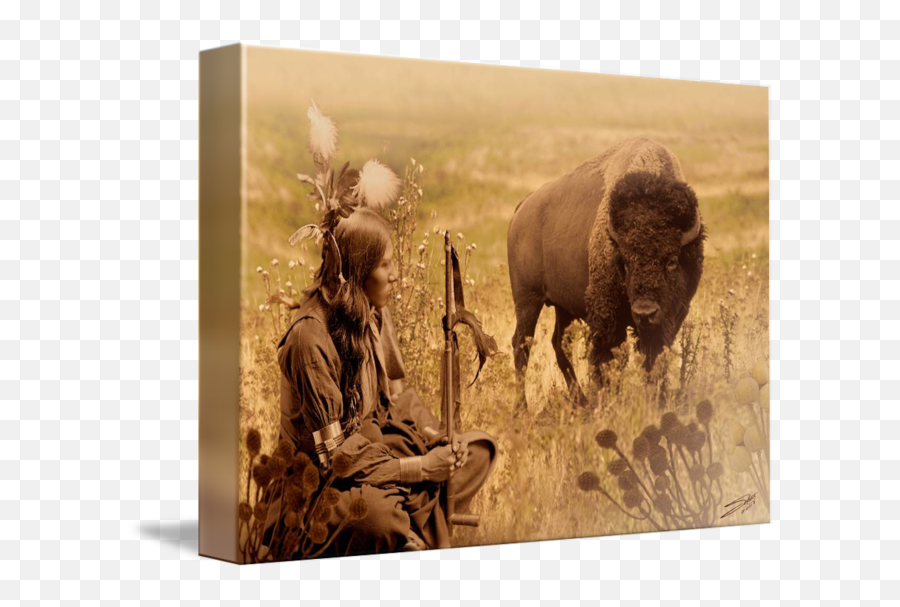 Native American Sioux And Bison By Im Spadecaller Emoji,Bison Emoticon Facebook