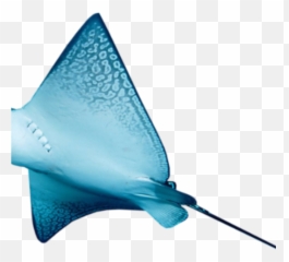 Eagle Ray Transparent Png - Free Download On Tpngnet Emoji,Manta Ray Emoticon