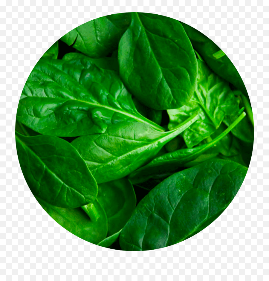 Immune Enhancing - At Home Selftechniques Integrative Emoji,Spinach Emotion