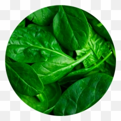 Immune Enhancing - At Home Selftechniques Integrative Emoji,Spinach Emotion