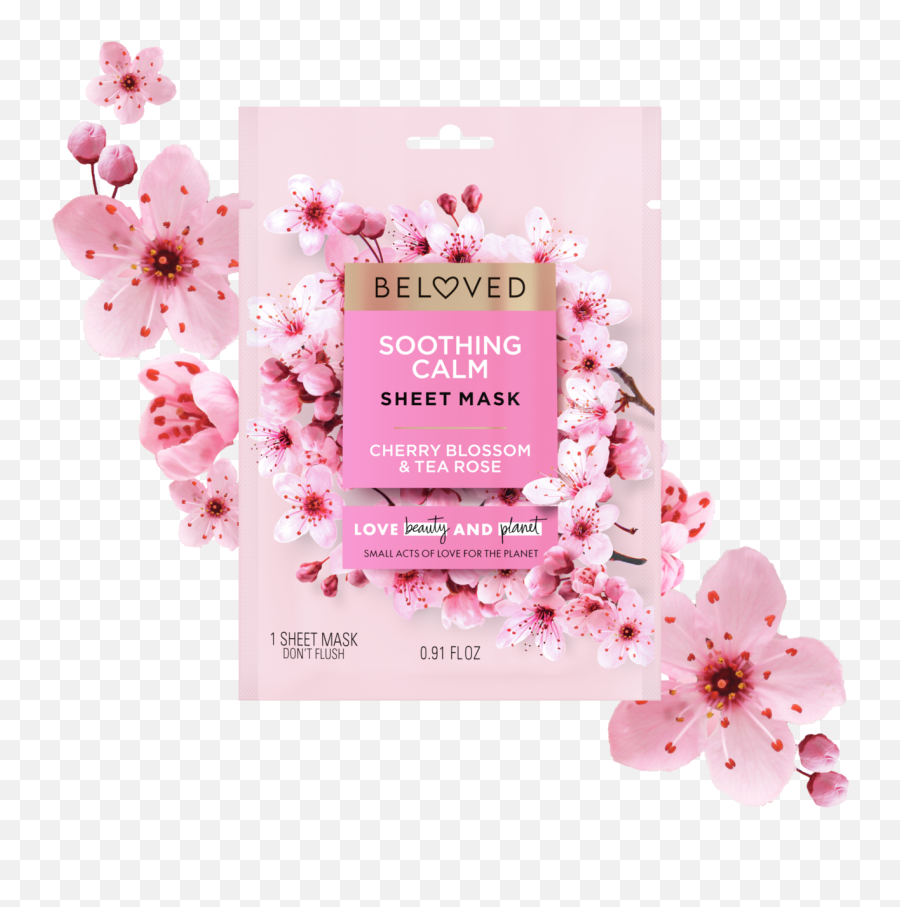 Cherry Blossom U0026 Tea Rose Love Beauty And Planet Emoji,Japanese Text Emoticon Flower Face