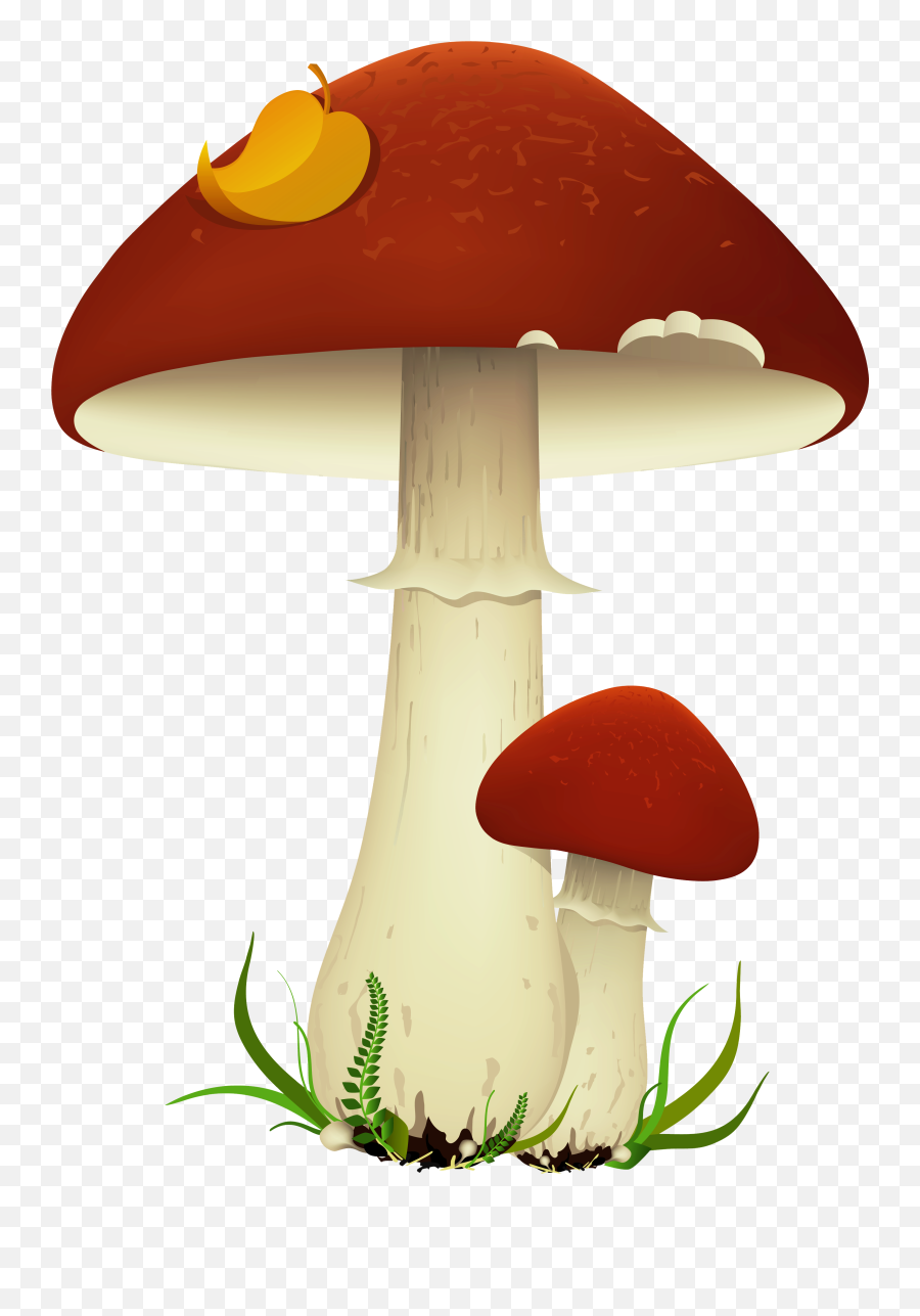 Mushroom Clip Art - Fall Mushrooms Transparent Png Picture Transparent Background Mushroom Clipart Emoji,Mushroom Emoji