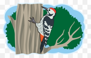 Hawk Clipart Free Download Transparent Png Creazilla - Hairy Woodpecker Emoji,Woodpecker Emoji