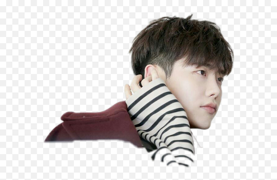 Leejongsuk Sticker By Maria Paulet Arévalo Gillade - Lee Jong Suk Emoji,Asian Guy Emoji