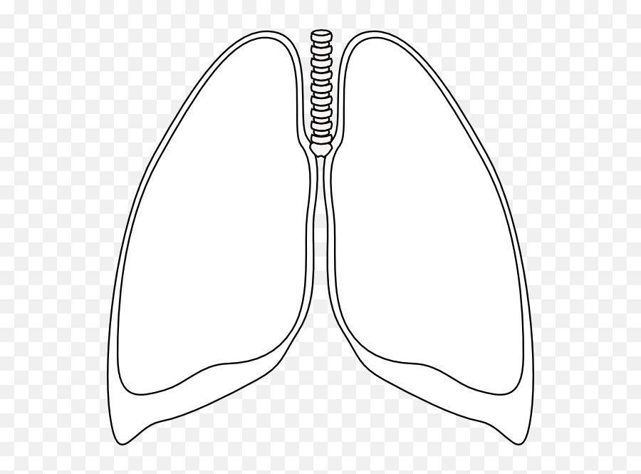 Free Lungs Outline Cliparts Download Free Clip Art Free - Gambar Paru Paru Hitam Putih Emoji,Lung Emoji