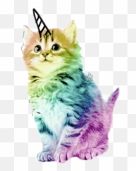 Largest Collection Of Free - Toedit Fur Stickers On Picsart Emoji,Furball Emoji