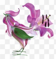 900 Illustration Ideas In 2021 Illustration Illustration Emoji,