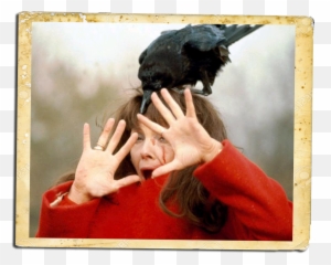 Retro Ladyland November 2015 Emoji,Closed Eyes Expressionless -emoticon -smiley Photo