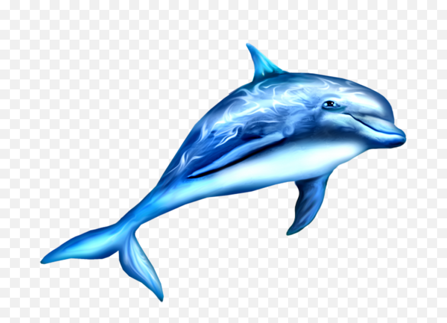 Blue Dolphin Clipart Png Transparent Images Free Emoji,Emojis Backgrounds With Dolphins