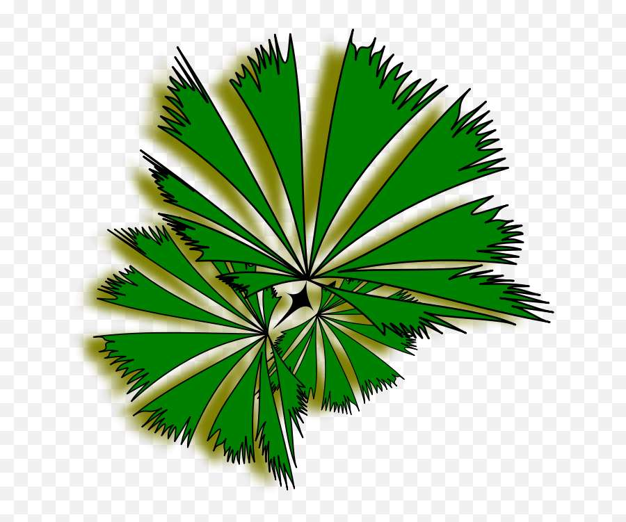 Free Palm Tree Clip Download Free Clip - Palm Transparent Background Tree Top View Png Emoji,Emoticon Palmera Facebook