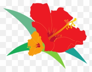 90 Free Orange Flower U0026 Orange Vectors - Pixabay Vektor Bunga Sepatu Png Emoji,Hibiscus Emoji