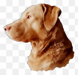 Download Labrador Breed Dog Gun Snout Retriever Clipart Png - Guard Dog Emoji,Finger Guns Sunglasses Emoticon
