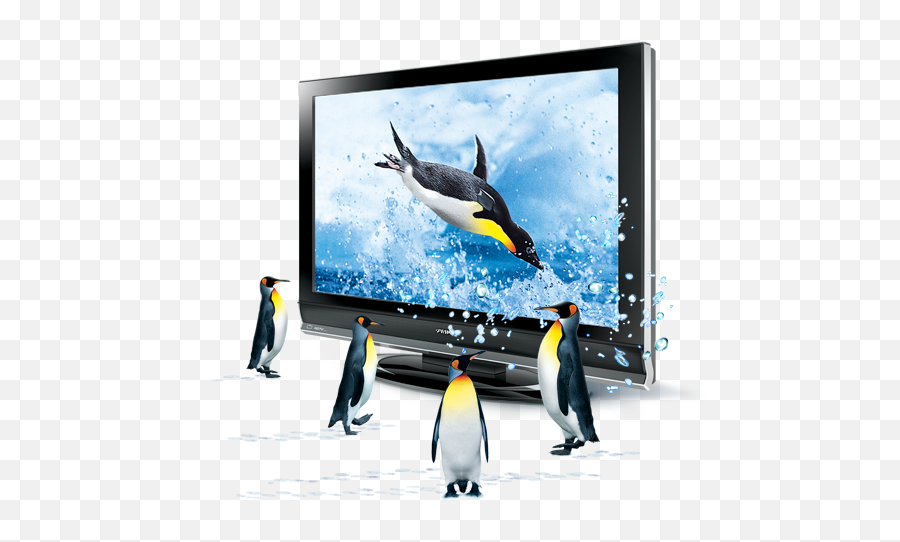 D Penguins Icon My Seven Iconset Itzik Gur - Television Set Emoji,Penguins Cute Emoji