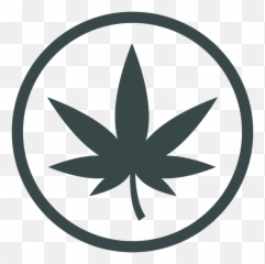 Dark Green Marijuana Leaf Png Vector - Marijuana Leaf Emoji,Cannabis Emoji