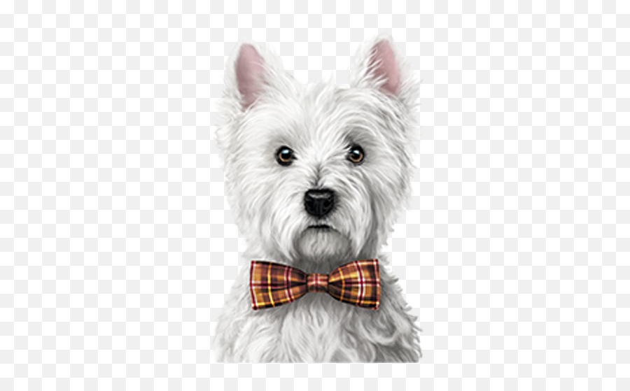 Cibo Per Cuccioli Di Cane - Amanova Puppy Emoji,Cucciolini Heart Emoticon