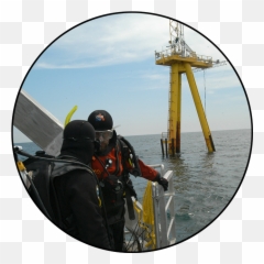 Data - Northeast Us Shelf Lter Emoji,Tigao Qingxu Emotion Raising