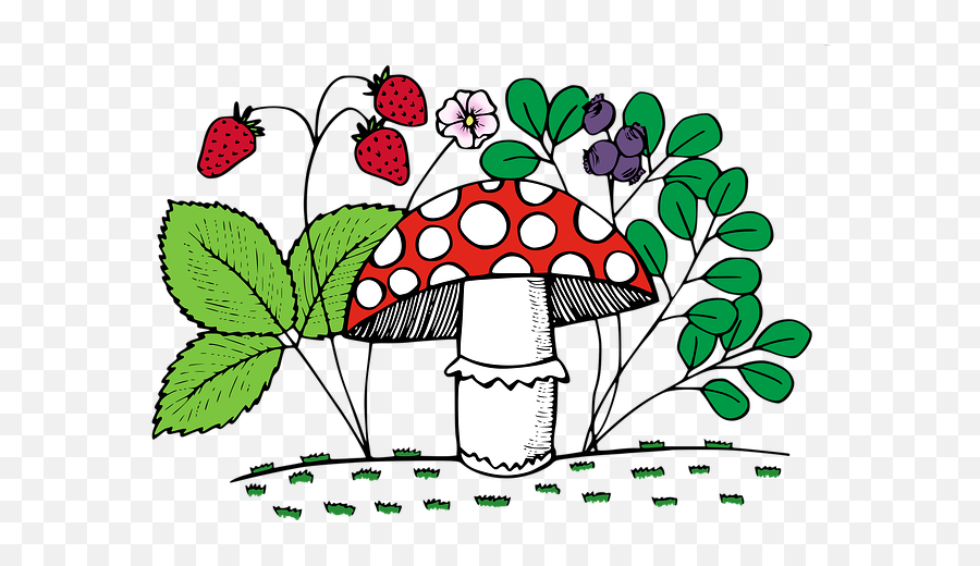 Free Photo Raw Fungus Cap Ingredient Fungi Mushroom Organic Emoji,Cute Mushroom Emoticon