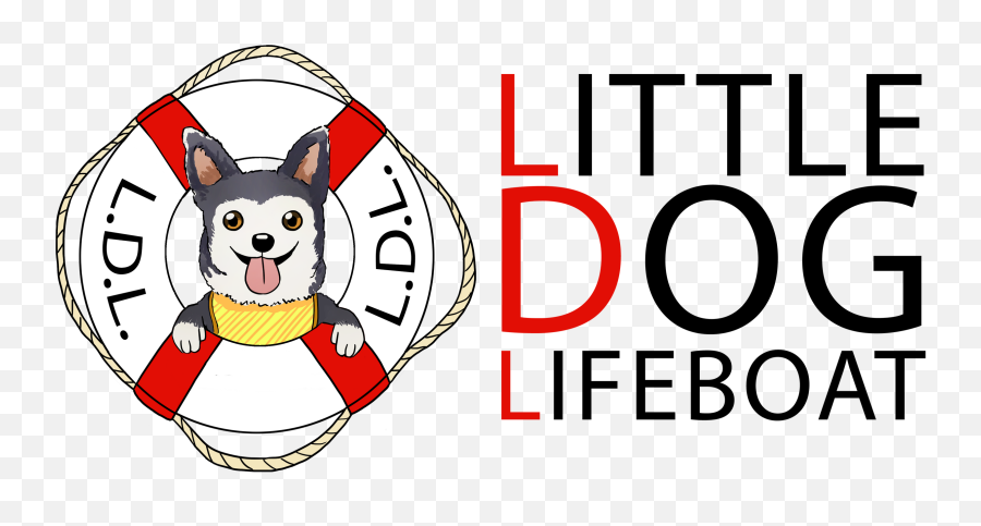 Dog Adoption Little Dog Lifeboat United States Emoji,Dog Emotions In Shelters