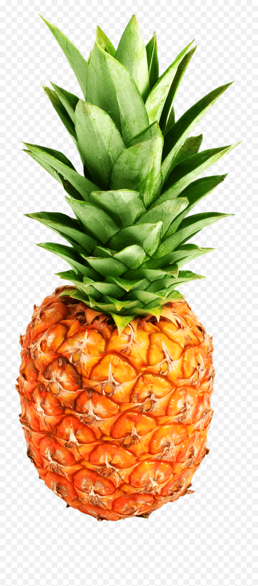 Free Pineapple Transparent Background Download Free Clip - Ananas Png Emoji,Pineapple Emoji